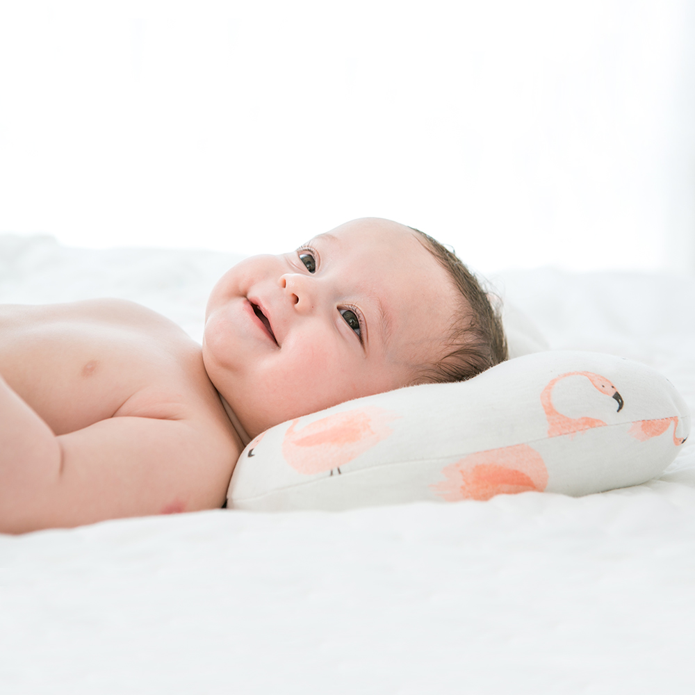 Oreiller Bebe Anti Tete Plate Plusieurs Modeles Au Choix Oreiller Bebe Anti Tete Plate Plusieurs Modeles Au Choix