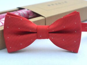 Nœud papillon couleur rouge pour enfant garçon