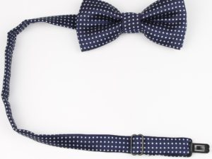 Nœud papillon