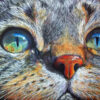 Visage de chat - Diamond Painting 5D - Peinture au diamant