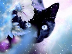 Broderie diamant Chat Noir aux yeux bleus