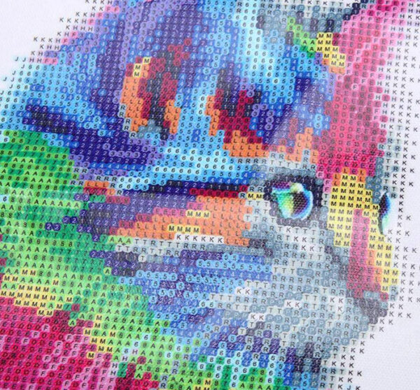 Toile chaton arc-en-ciel - Peinture diamant 5D