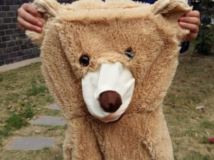 Tête de l'ours en peluche géant