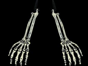 Avant-bras squelette humain pour halloween