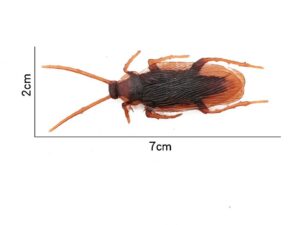 Dimensions d'un cafard en plastique