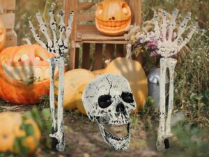 Ensemble squelette humaine ultra réaliste pour décoration Halloween